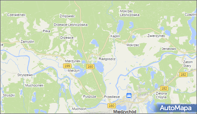 mapa Radgoszcz gmina Międzychód, Radgoszcz gmina Międzychód na mapie Targeo