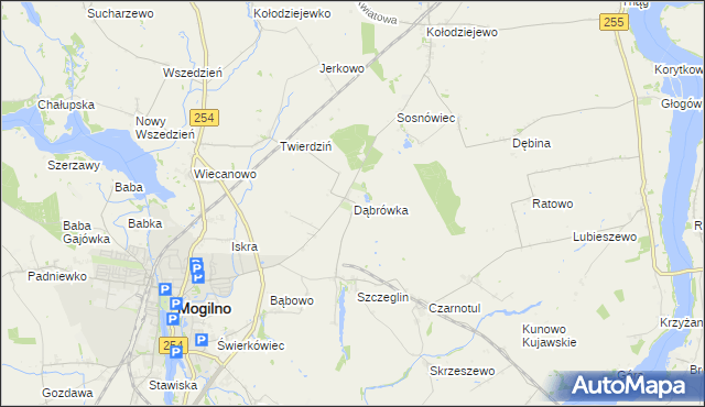 mapa Dąbrówka gmina Mogilno, Dąbrówka gmina Mogilno na mapie Targeo
