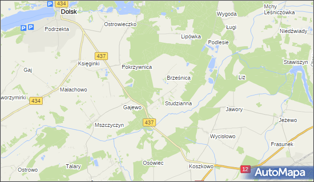 mapa Orliniec gmina Dolsk, Orliniec gmina Dolsk na mapie Targeo