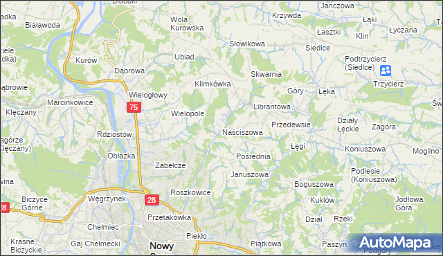 mapa Naściszowa, Naściszowa na mapie Targeo