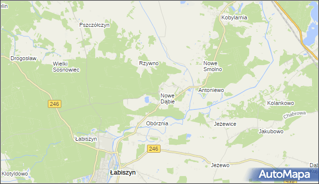 mapa Nowe Dąbie, Nowe Dąbie na mapie Targeo