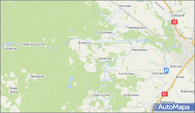 mapa Żabieniec gmina Lipno, Żabieniec gmina Lipno na mapie Targeo