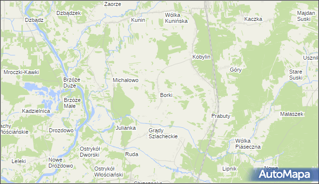 mapa Borki gmina Goworowo, Borki gmina Goworowo na mapie Targeo