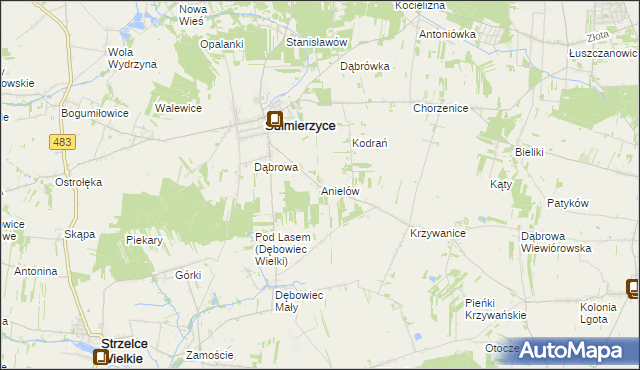 mapa Anielów gmina Sulmierzyce, Anielów gmina Sulmierzyce na mapie Targeo