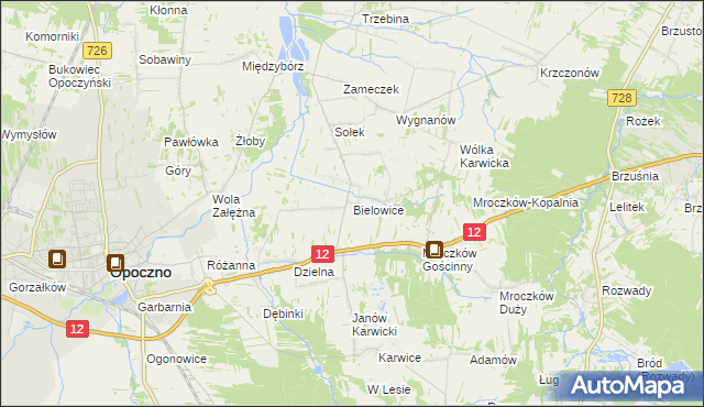 mapa Bielowice gmina Opoczno, Bielowice gmina Opoczno na mapie Targeo