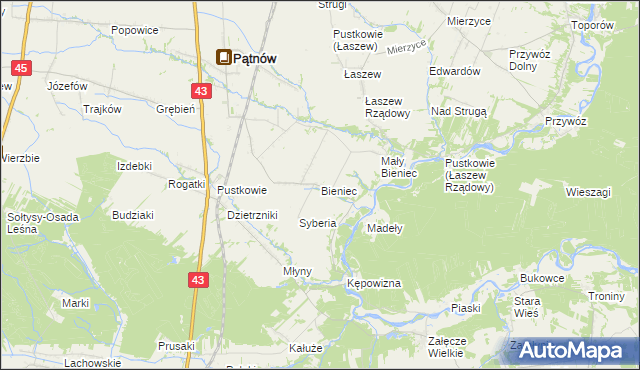 mapa Bieniec gmina Pątnów, Bieniec gmina Pątnów na mapie Targeo