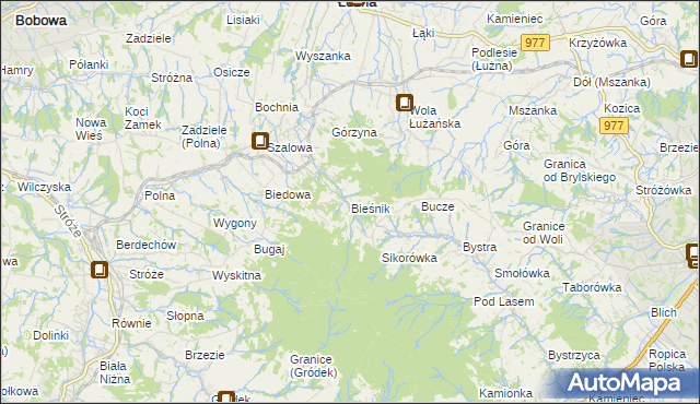 mapa Bieśnik gmina Łużna, Bieśnik gmina Łużna na mapie Targeo