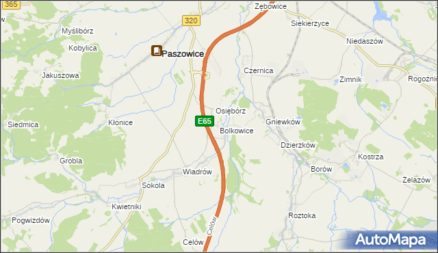 mapa Bolkowice gmina Paszowice, Bolkowice gmina Paszowice na mapie Targeo