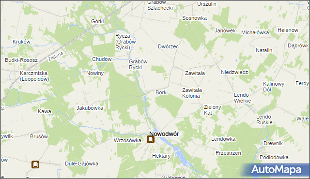 mapa Borki gmina Nowodwór, Borki gmina Nowodwór na mapie Targeo