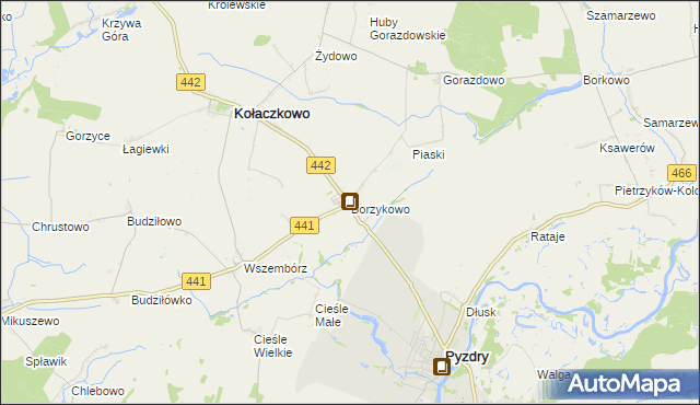 mapa Borzykowo gmina Kołaczkowo, Borzykowo gmina Kołaczkowo na mapie Targeo