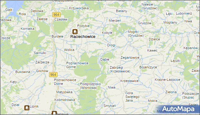 mapa Dąbie gmina Raciechowice, Dąbie gmina Raciechowice na mapie Targeo