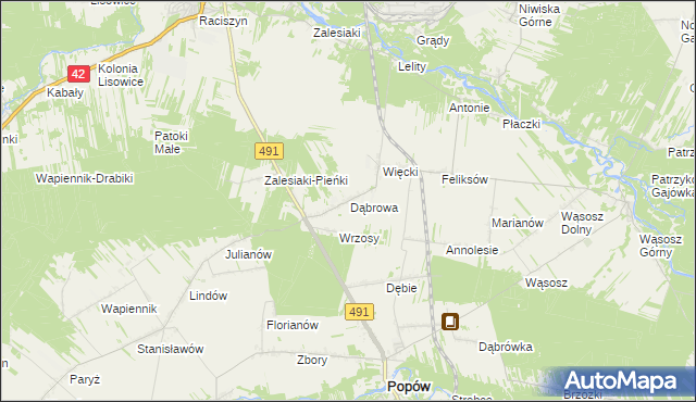 mapa Dąbrowa gmina Popów, Dąbrowa gmina Popów na mapie Targeo