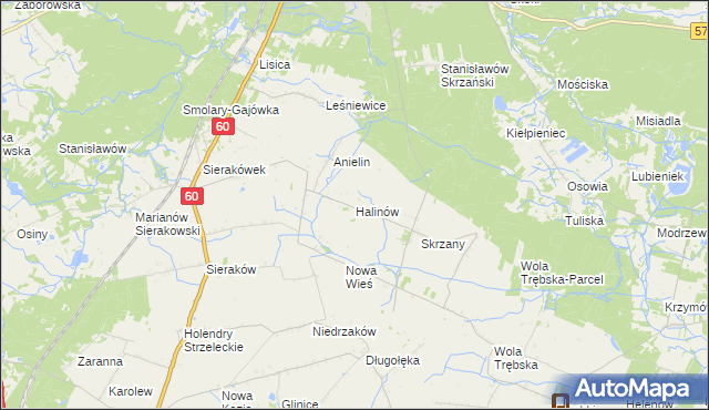 mapa Halinów gmina Gostynin, Halinów gmina Gostynin na mapie Targeo