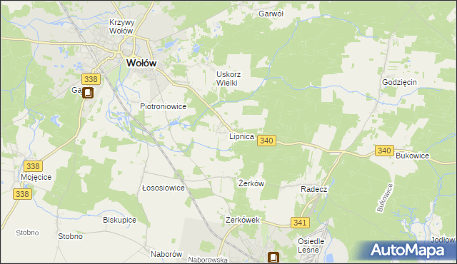 mapa Lipnica gmina Wołów, Lipnica gmina Wołów na mapie Targeo