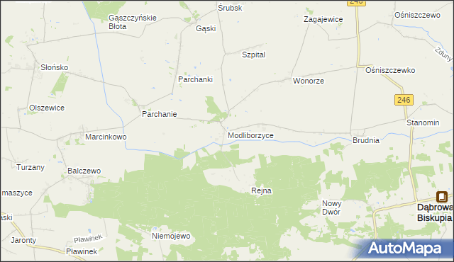 mapa Modliborzyce gmina Dąbrowa Biskupia, Modliborzyce gmina Dąbrowa Biskupia na mapie Targeo