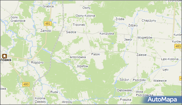 mapa Patoki gmina Widawa, Patoki gmina Widawa na mapie Targeo