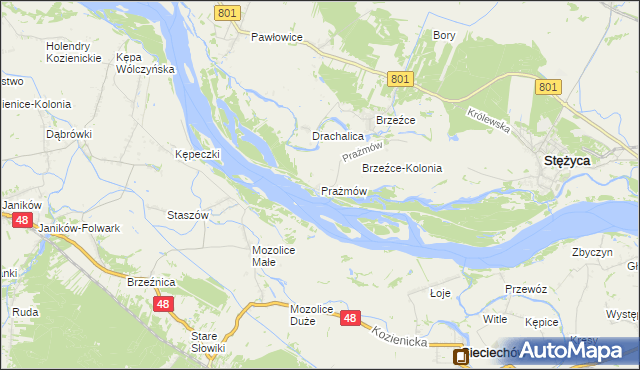 mapa Prażmów gmina Stężyca, Prażmów gmina Stężyca na mapie Targeo