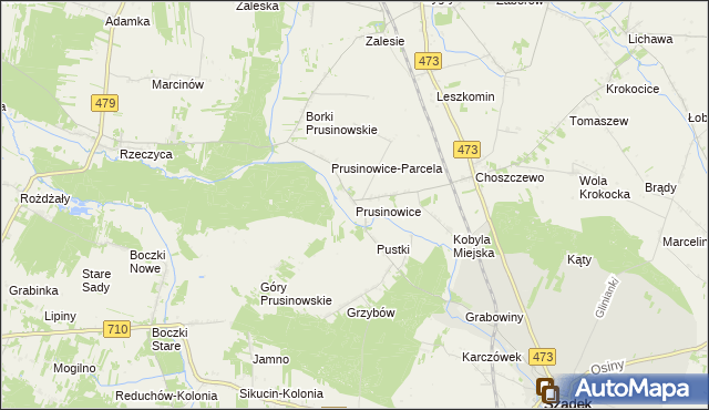 mapa Prusinowice gmina Szadek, Prusinowice gmina Szadek na mapie Targeo