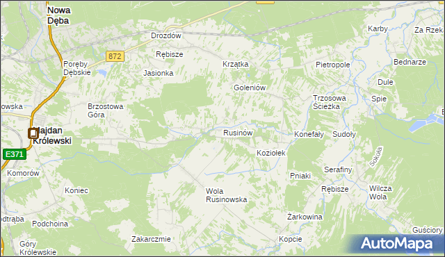 mapa Rusinów gmina Majdan Królewski, Rusinów gmina Majdan Królewski na mapie Targeo