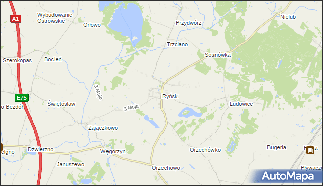 mapa Ryńsk, Ryńsk na mapie Targeo