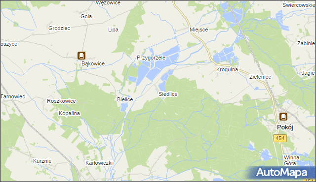 mapa Siedlice gmina Pokój, Siedlice gmina Pokój na mapie Targeo