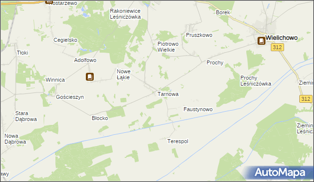 mapa Tarnowa gmina Rakoniewice, Tarnowa gmina Rakoniewice na mapie Targeo