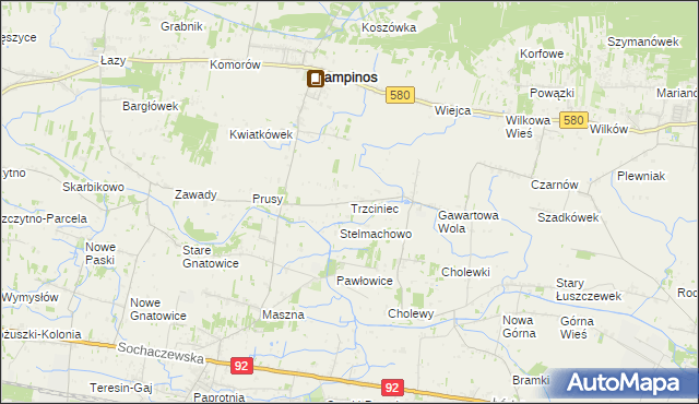 mapa Trzciniec gmina Leszno, Trzciniec gmina Leszno na mapie Targeo