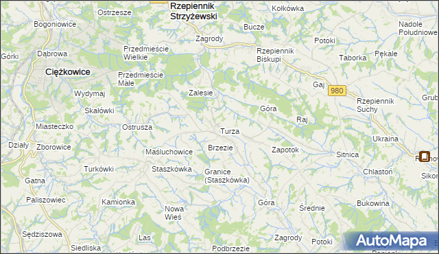 mapa Turza gmina Rzepiennik Strzyżewski, Turza gmina Rzepiennik Strzyżewski na mapie Targeo