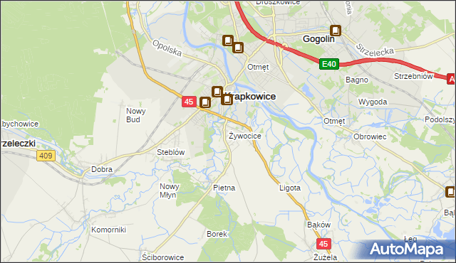 mapa Żywocice, Żywocice na mapie Targeo