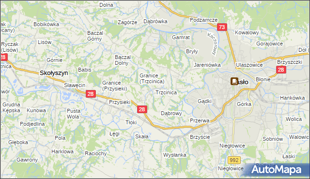 mapa Trzcinica gmina Jasło, Trzcinica gmina Jasło na mapie Targeo