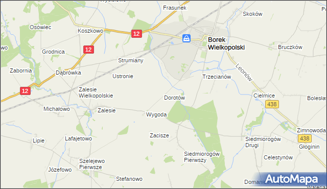 mapa Dorotów gmina Borek Wielkopolski, Dorotów gmina Borek Wielkopolski na mapie Targeo