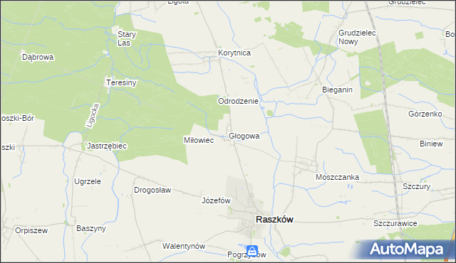 mapa Głogowa gmina Raszków, Głogowa gmina Raszków na mapie Targeo