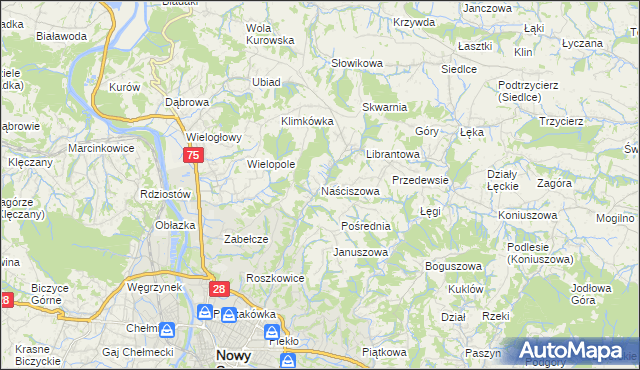 mapa Naściszowa, Naściszowa na mapie Targeo