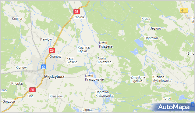 mapa Niwki Książęce gmina Międzybórz, Niwki Książęce gmina Międzybórz na mapie Targeo