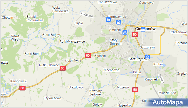 mapa Pęchcin, Pęchcin na mapie Targeo