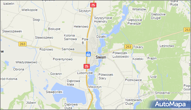 mapa Ślesin powiat koniński, Ślesin powiat koniński na mapie Targeo