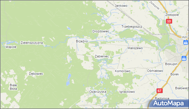 mapa Żabieniec gmina Lipno, Żabieniec gmina Lipno na mapie Targeo