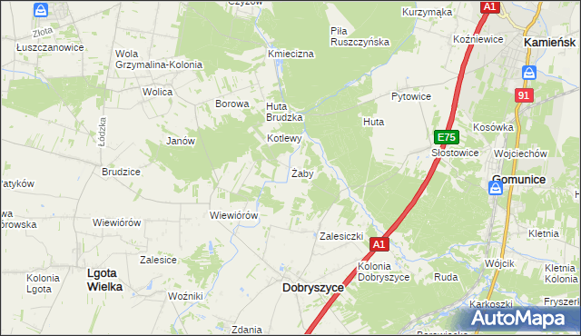 mapa Żaby gmina Dobryszyce, Żaby gmina Dobryszyce na mapie Targeo