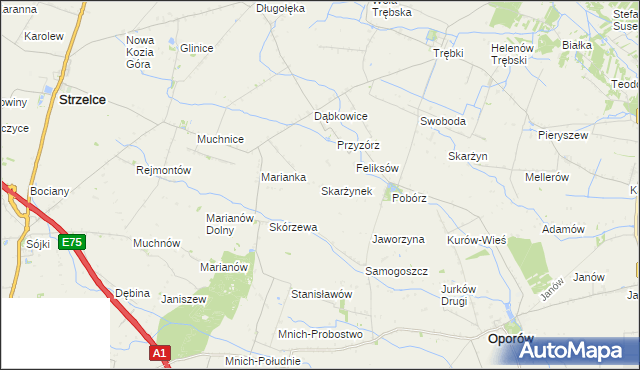 mapa Skarżynek gmina Oporów, Skarżynek gmina Oporów na mapie Targeo