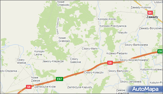 mapa Cibory-Marki, Cibory-Marki na mapie Targeo