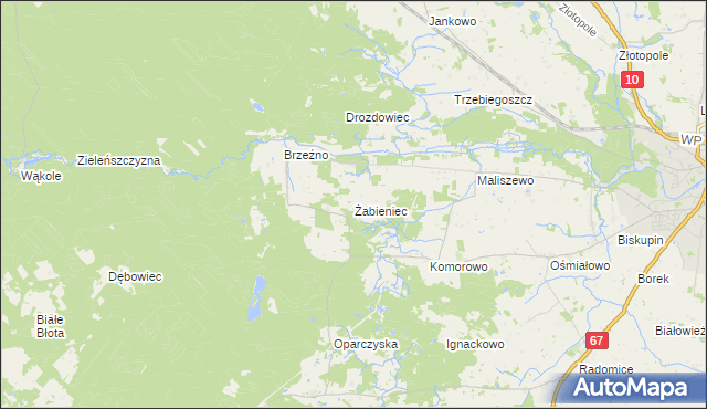 mapa Żabieniec gmina Lipno, Żabieniec gmina Lipno na mapie Targeo