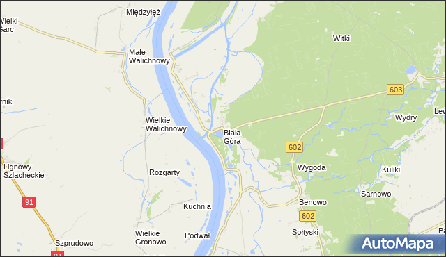 mapa Biała Góra gmina Sztum, Biała Góra gmina Sztum na mapie Targeo