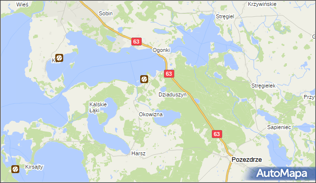 mapa Dziaduszyn, Dziaduszyn na mapie Targeo