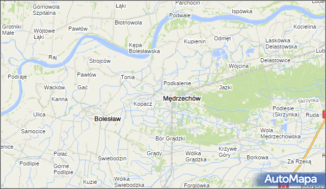 mapa Mędrzechów, Mędrzechów na mapie Targeo