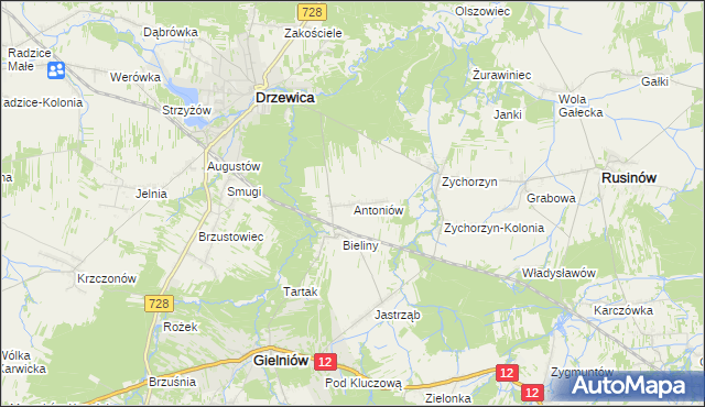 mapa Antoniów gmina Gielniów, Antoniów gmina Gielniów na mapie Targeo