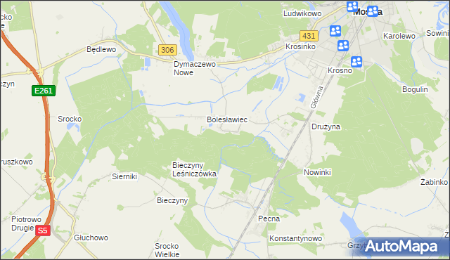 mapa Borkowice gmina Mosina, Borkowice gmina Mosina na mapie Targeo