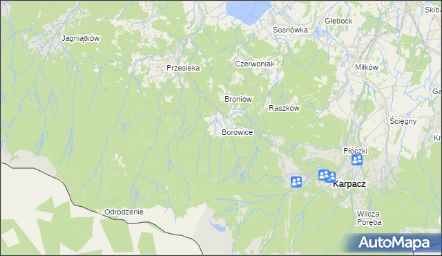 mapa Borowice gmina Podgórzyn, Borowice gmina Podgórzyn na mapie Targeo