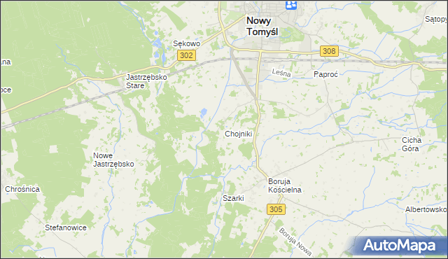 mapa Chojniki gmina Nowy Tomyśl, Chojniki gmina Nowy Tomyśl na mapie Targeo