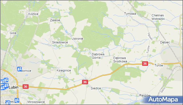 mapa Dąbrowa Górna gmina Lubin, Dąbrowa Górna gmina Lubin na mapie Targeo