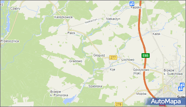 mapa Głogusz, Głogusz na mapie Targeo